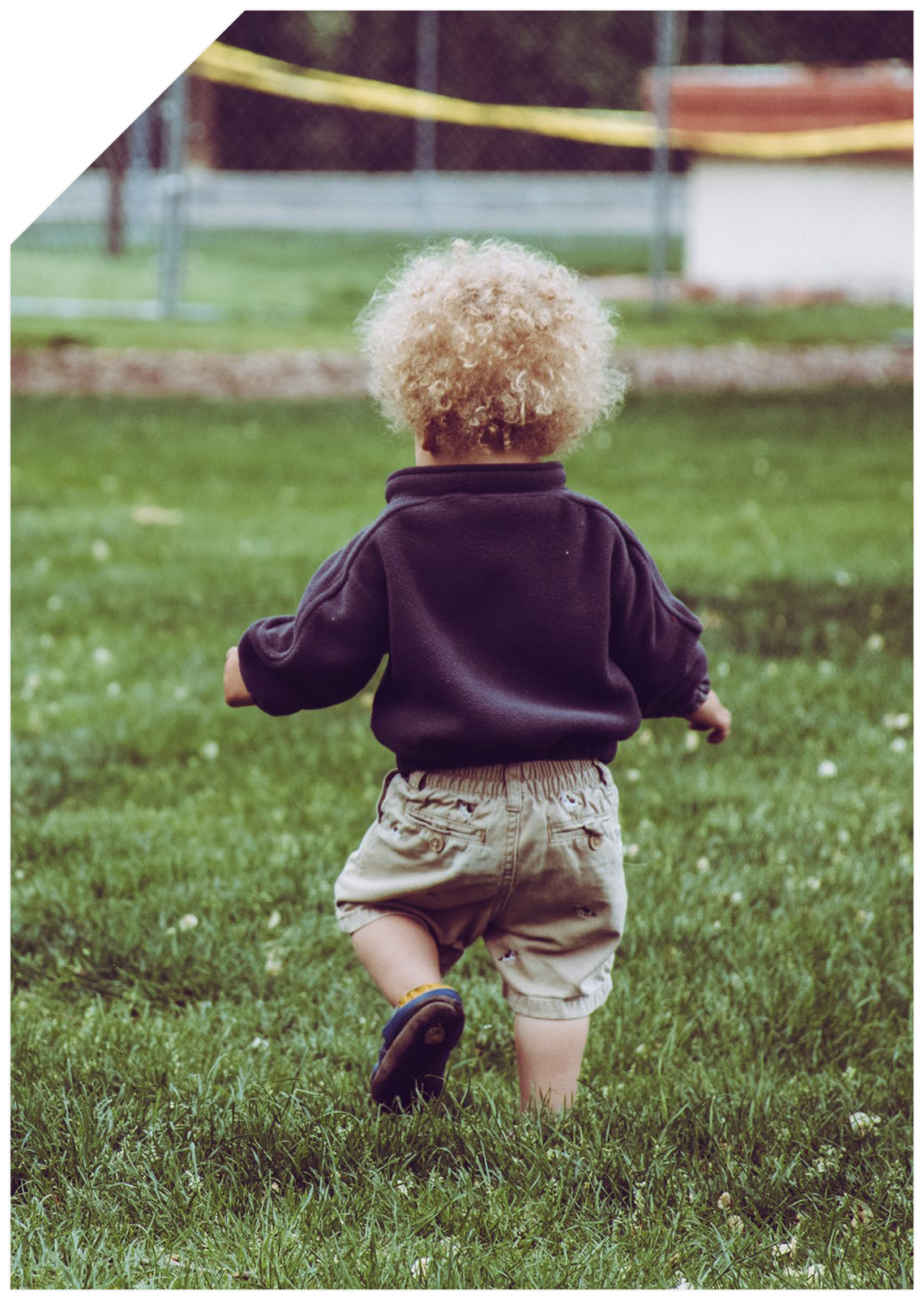 Tevhide Dadı İletişim